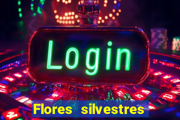 Flores silvestres brasileiras 25